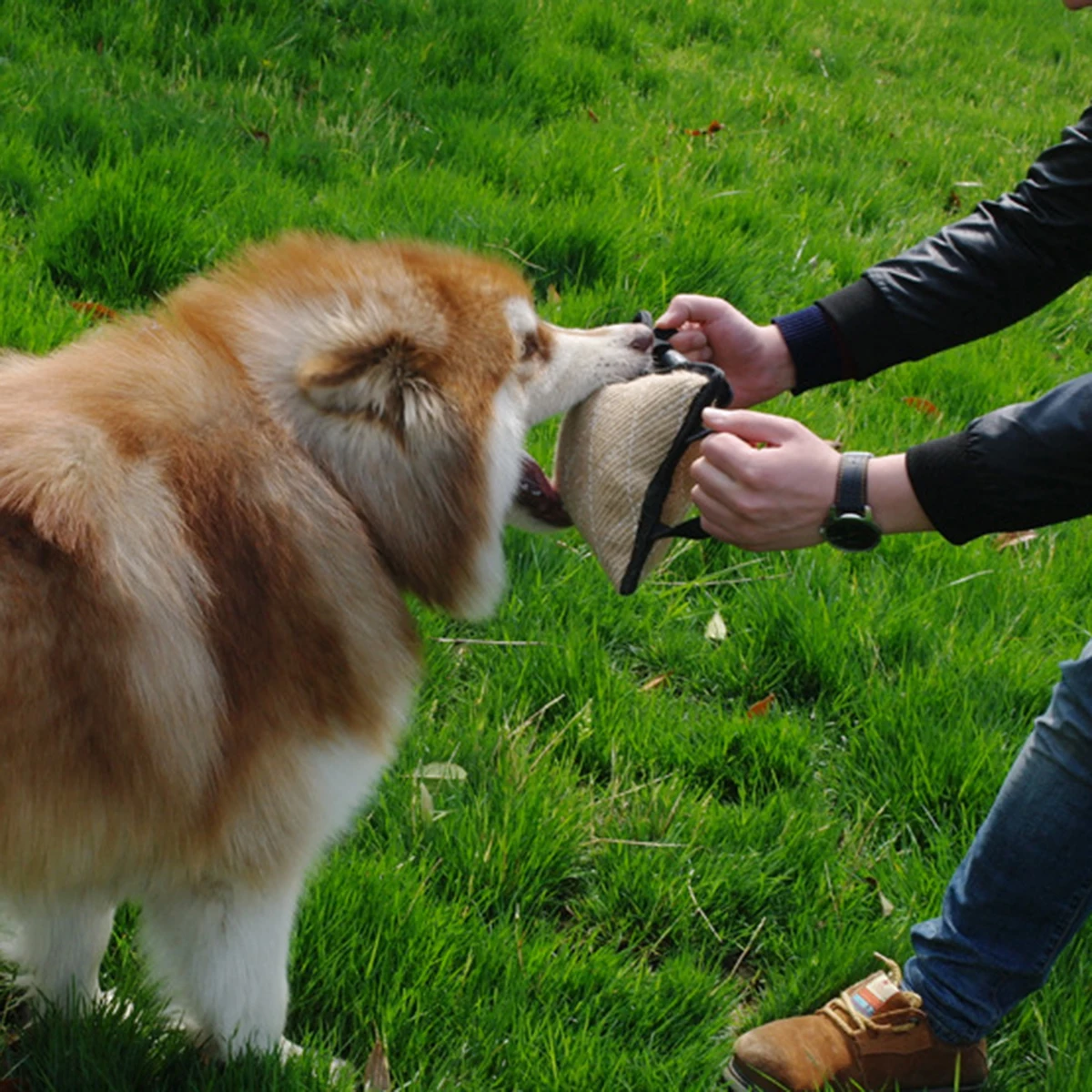 TINGHAO тренировочная подушка для укуса собак джутовая питомцев K9 Young Malinois немецкая