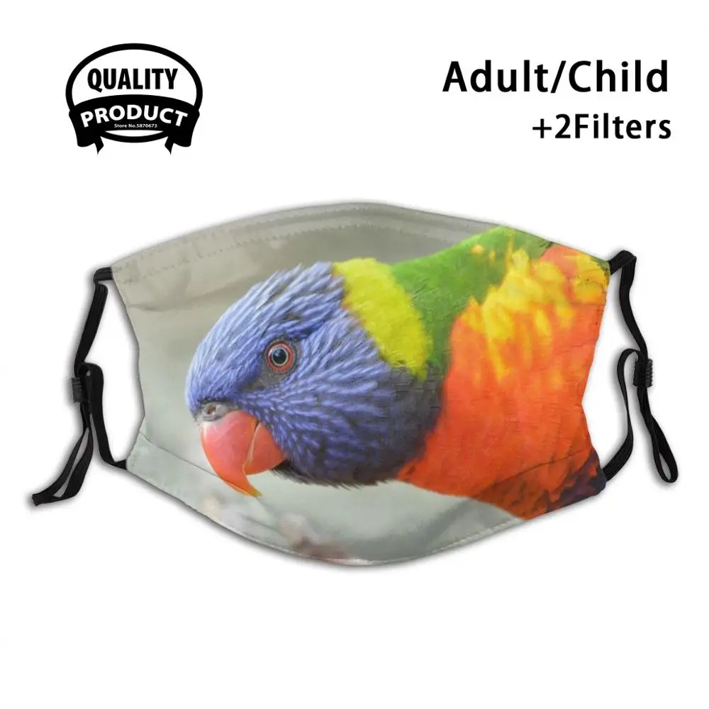 

Rainbow Lorikeet Reusable Mouth Mask Filter For Men Women Kids