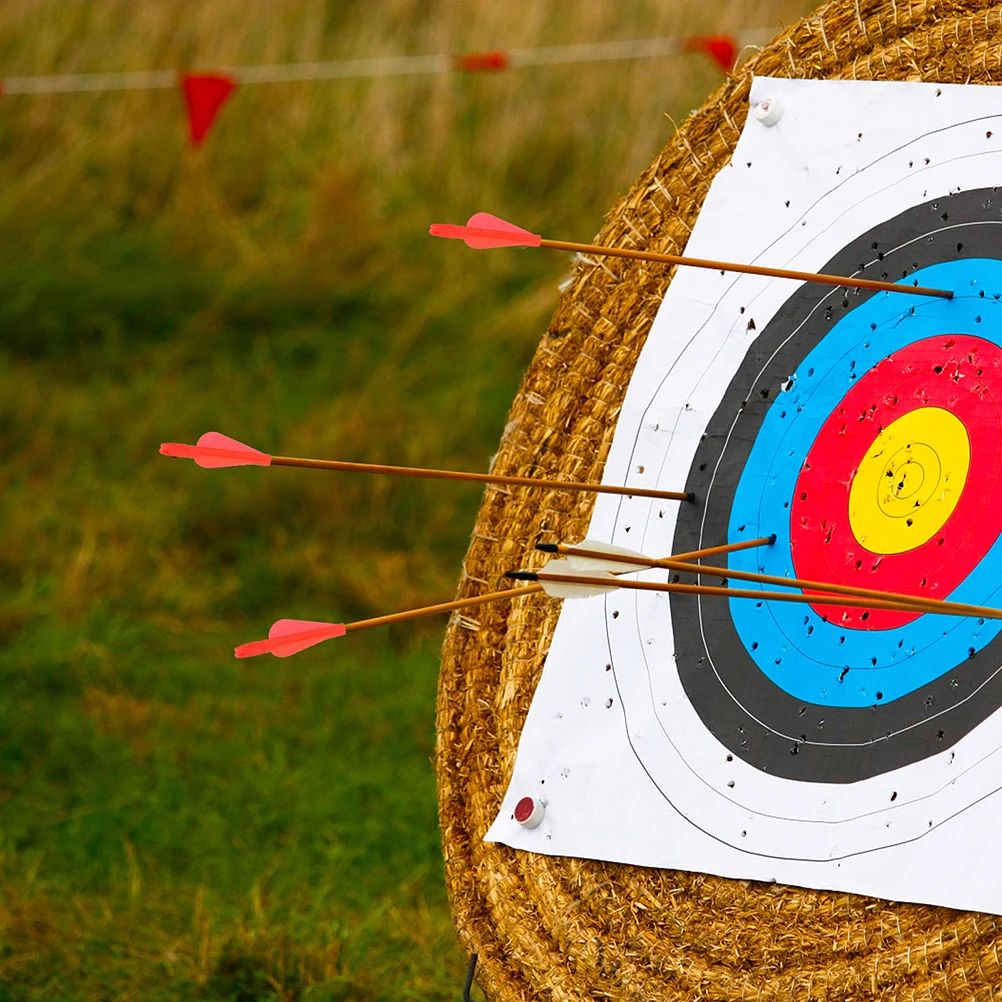 

15PCS High Quality Plastic Archery Arrow Tails Field Target Shooting Practice Arrow Tail for Hunting Shooting Arrow Nocks 8mm
