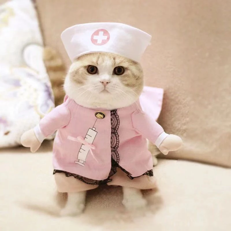 

Pet Appearances Interesting Dog And Cat Cosplay Novel Fun Pet Clothes Doctor Nurse Design