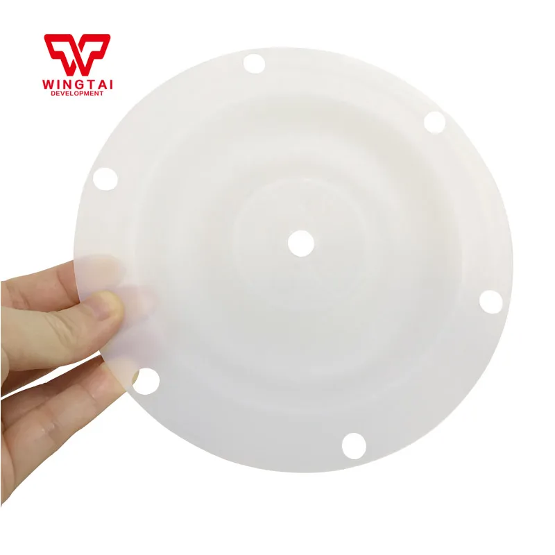

PTFE Diaphragms Replacement Parts for Sandpiper Air-Operated Double Diaphragm Pump