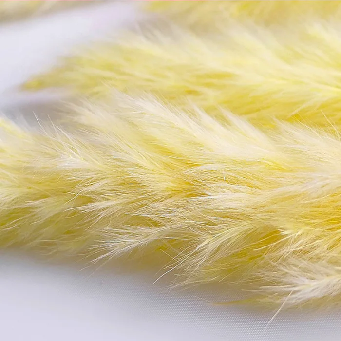 15 шт. Bulrush засушенный натуральный маленький пампасная трава Phragmites коммунис свадебный цветок букет для домашнего декора 6 цветов