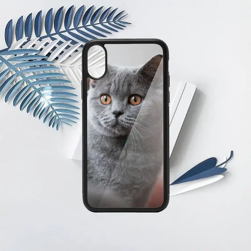 

British shorthair cat animal Phone Case PC for iPhone 11 12 pro XS MAX 8 7 6 6S Plus X 5S SE 2020 XR