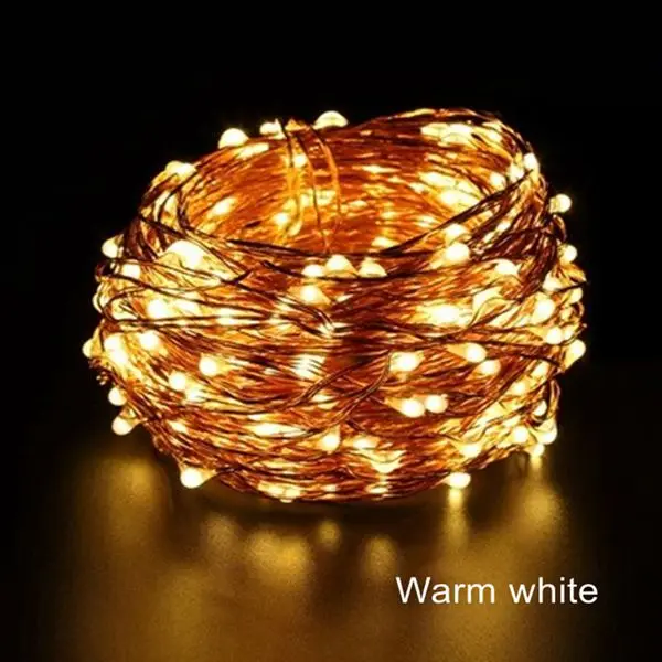 Warm white Светодиодный светильник из медного провода 10 м, 20 м, 30 м, 50 м, 100 м, серебристый провод, светодиодный светильник, гирлянда, звездная Рождественская фея, светильник s с адаптером питания 12 В постоянного тока - Испускаемый цвет: Warm white