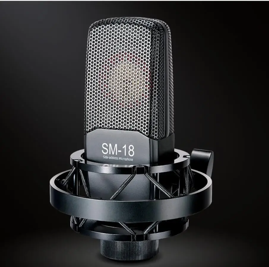 Takstar SM-18 боковой адрес профессиональный микрофон для записи