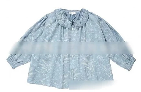 blue blouse CBC/Новинка года; брендовые Детские платья; сезон осень-зима платье принцессы с длинными рукавами и цветочным принтом для девочек хлопковая одежда принцессы для маленьких детей - Цвет: blue blouse