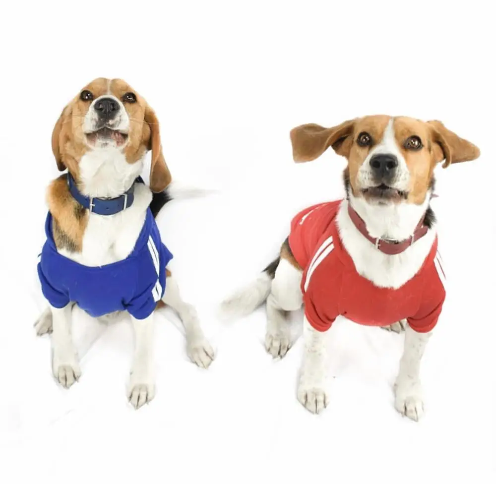 Одежда для маленьких и средних собак теплое зимнее пальто щенков куртка