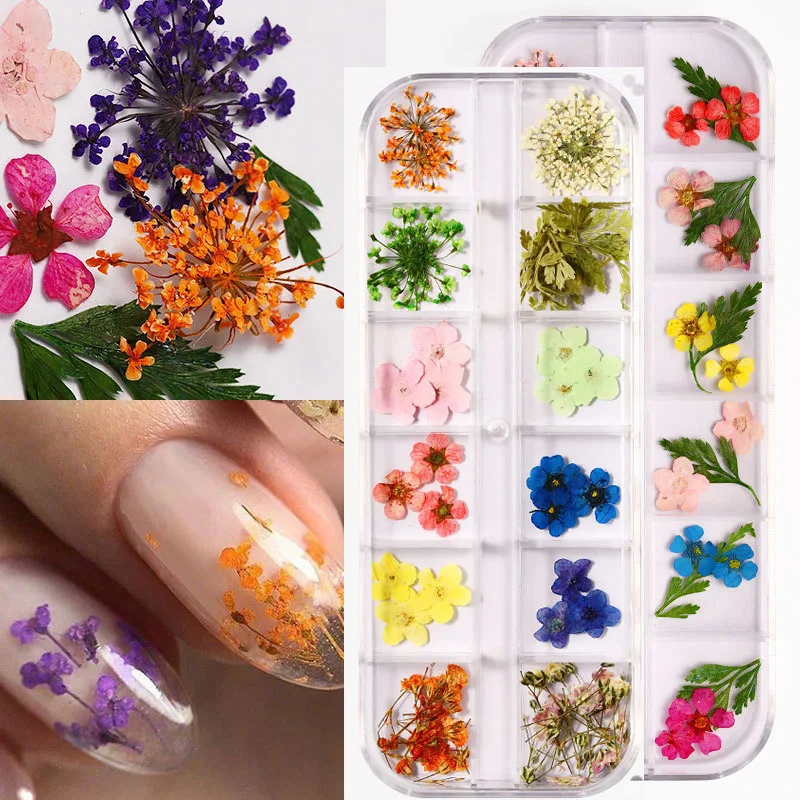 

Manicure DIY Flower Set Dried Flowers Mix Dried Flowers Nail Decorations Jewelry Natural Floral Leaf Stickers 3D Nail Art Design