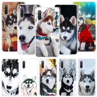 siberian husky sled dog phone case for xiaomi redmi 9 9t 9c 10 prime 10x 10c 8 7 6 10a 9a 8a 7a 6a s2 k40 pro k30 k20 coque patt