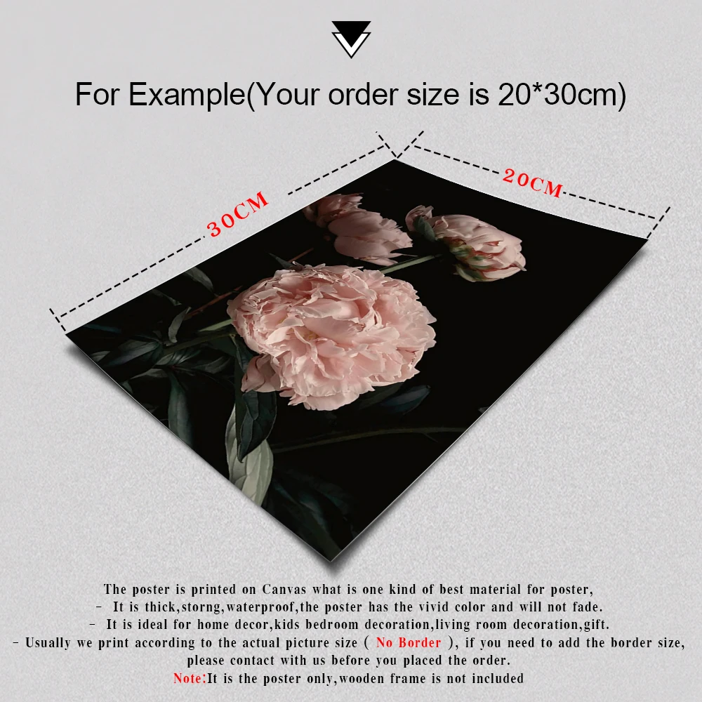 

Decoration blooming Peonies Flower Wall Art Canvas Painting beauties Poster Posters And Prints On Wall Pictures For Living Room