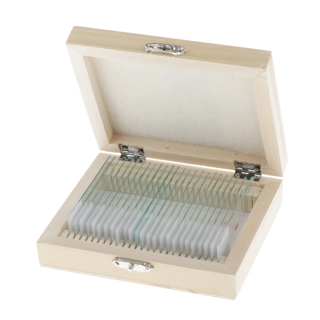 25x приготовленный стеклянный микроскоп горка биологический набор образцов с