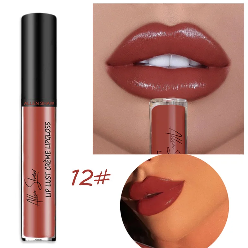 Liquid Lipstick Waterproof Shimmer Lip Gloss Tint Long Lasting Velvet Cream Lips Colors Matte Lipsticks Makeup Sexy 12 |