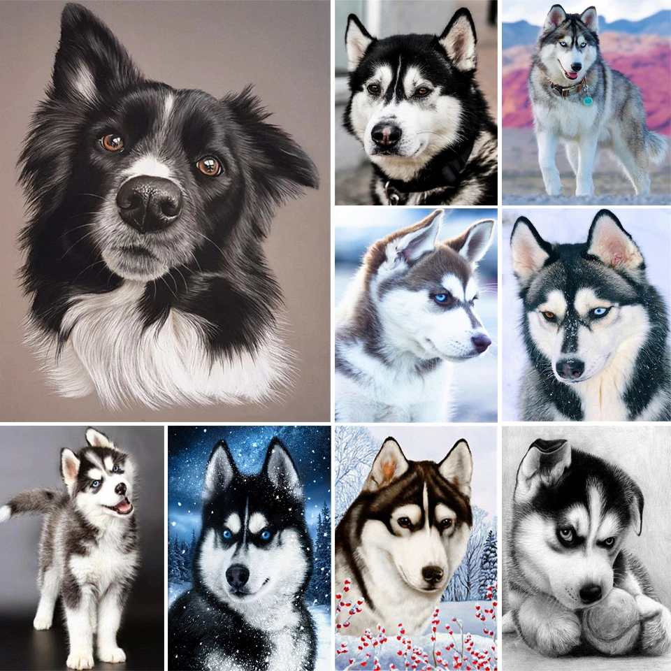 

5D DIY алмазная живопись, животное, Хаски стразы, вышитая мозаика, подарок, украшение для дома, Набор для вышивки крестиком