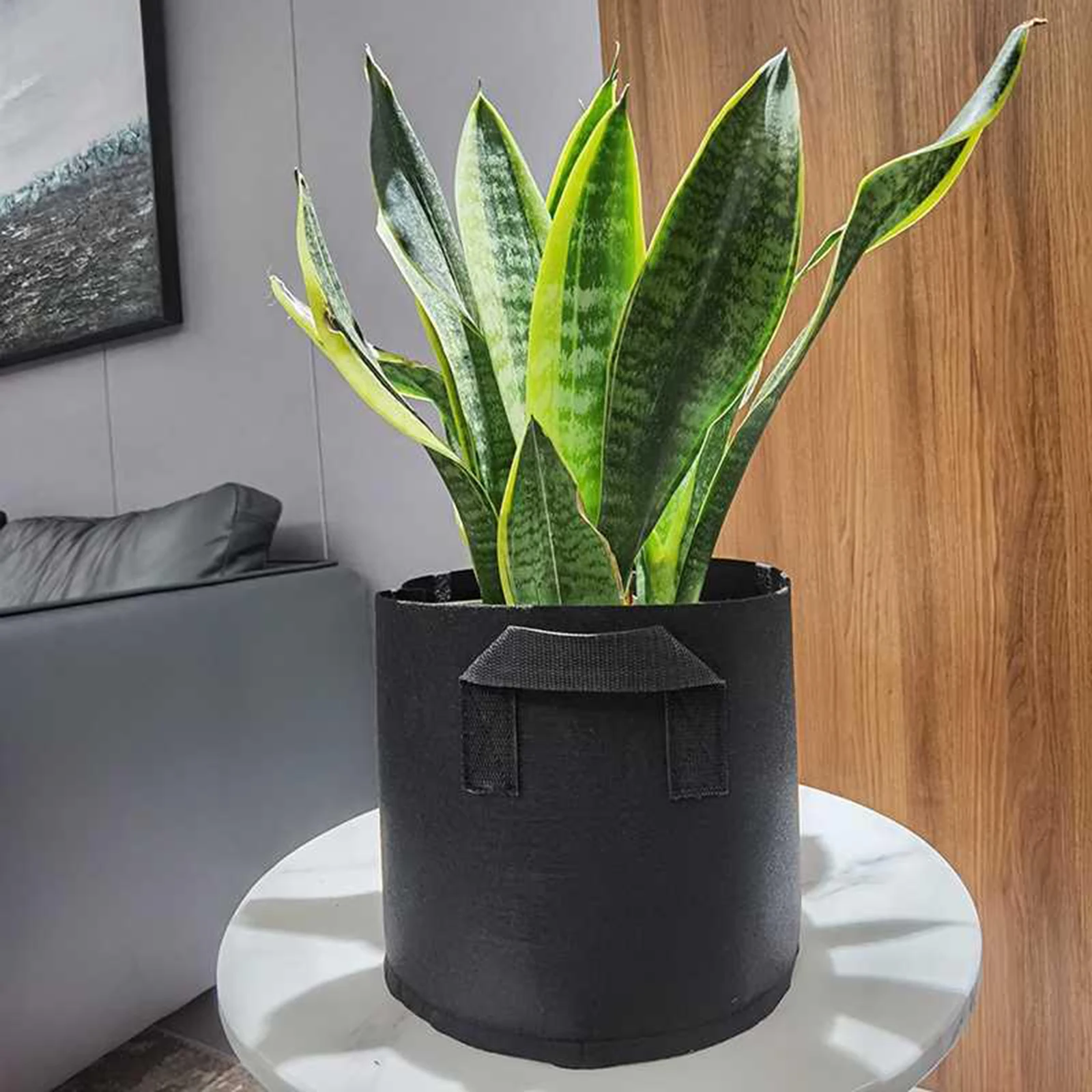 

Nonwoven Grow Bags Plant Fabric Pots Heavy Duty 5pcs/set 20 Gallons Polypropylene Vegetable Planter Tool With Handle