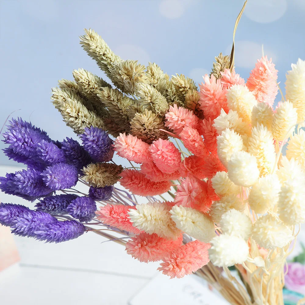 

Natural Dried Flowers Bouquet Wedding Home Easter Decorations Rabbit Tail Grass Real Flowers Wedding DIY Accessories