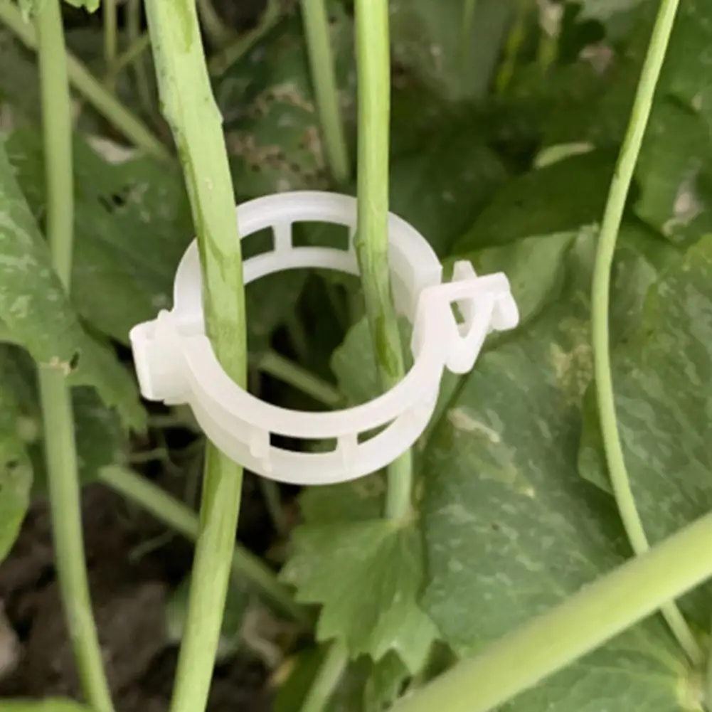 

100Pcs Plant Support Clips Labor-saving Long Lasting Plastic Hanging Vine Fixing Clips for Home