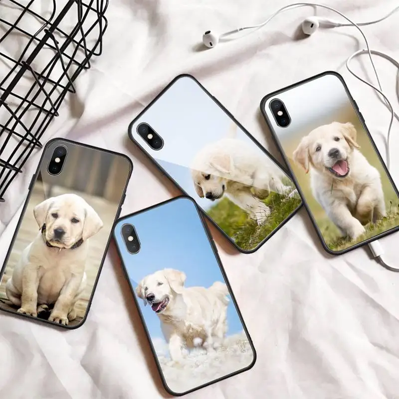 

Labrador Puppies Dog cute animal Phone Case Tempered glass For iphone 5C 6 6S 7 8 plus X XS XR 11 PRO MAX