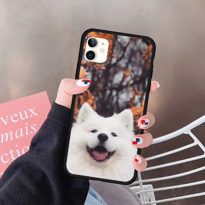 

Samoyed cute dog animal Phone Case for iPhone 11 12 pro XS MAX 8 7 6 6S Plus X 5S SE 2020 XR mini