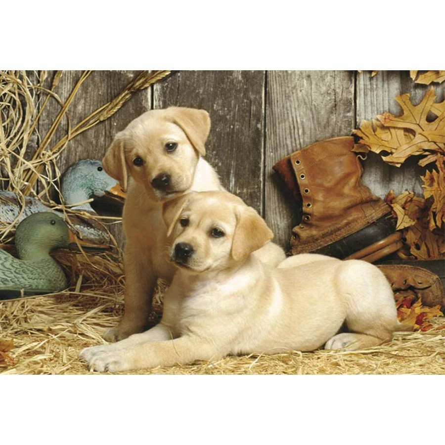 Круглая Алмазная 5D картина сделай сам с животными продажа квадратных картин