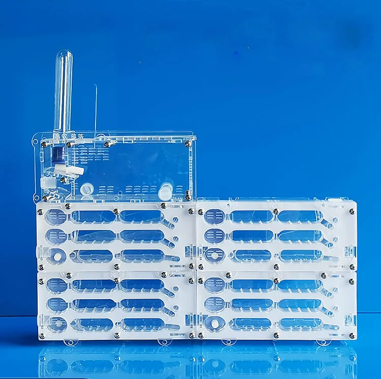 Ant farm with drinking bowl for ants acrylic box ant nest with feeding area Anthill Insect House Workshop Ant formicarium