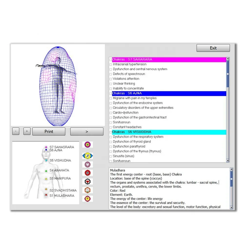 

3d Bioplasm NLS health scanner 2021