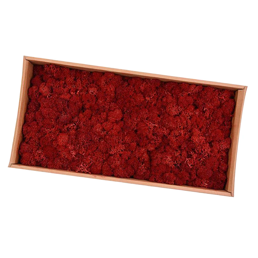 Red 38x19x10cm Imm Натуральный норвежский олень мох консервированный сушеные ремесла цветок для цветов Трава растения для дома и сада Гирлянда Свадебная вечеринка - Цвет: Red 38x19x10cm Imm