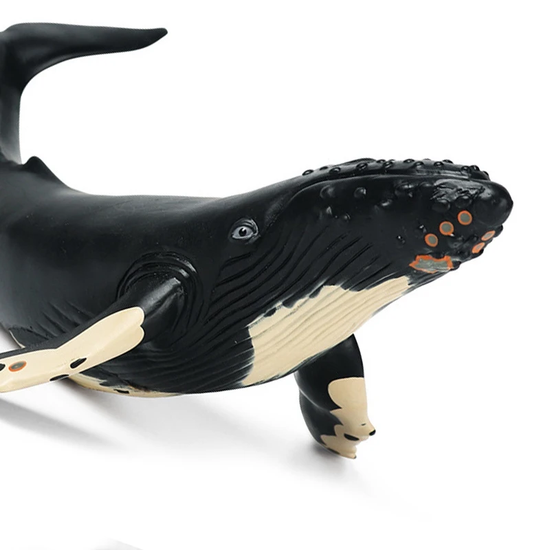 

Simulation Marine Animal Model Soft Rubber Humpback Whale Model Animal Model Ornaments