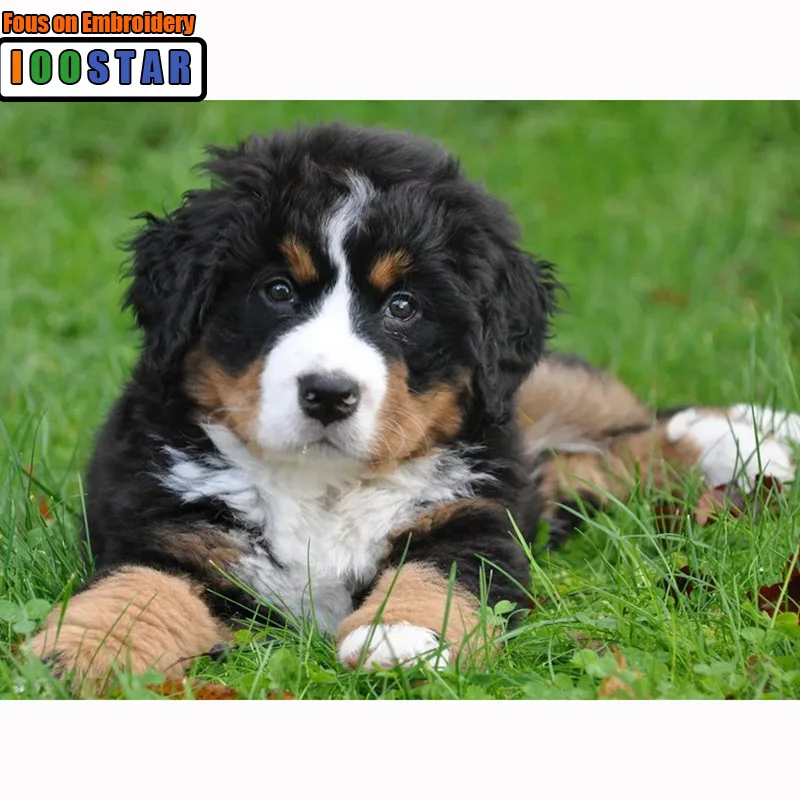 5d алмазная живопись сделай сам полноразмерная/круглая вышивка с изображением