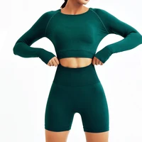tracksuit womens knitted seamless yoga clothes long sleeved skinny hip shorts fitness suit