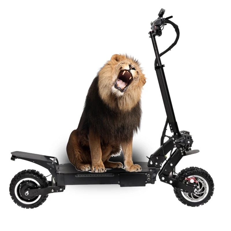 Мощный 11 дюймовый внедорожный двойной двигатель 60 в 3000 Вт * 2 максимальная