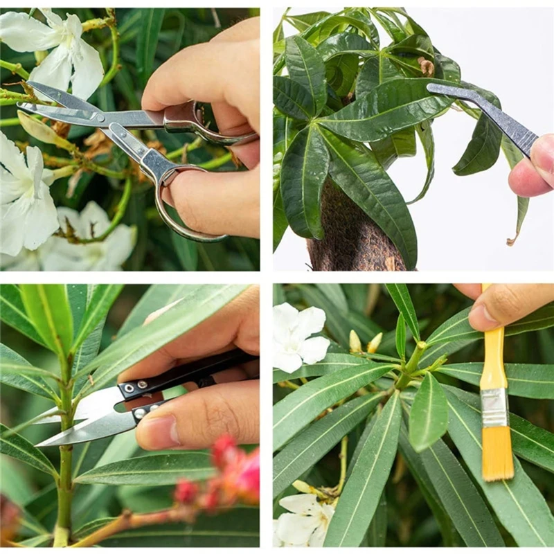 Набор инструментов для посадки суккулентов миниатюрный садовый набор бонсай