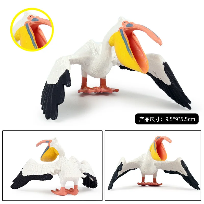 Pelican животных статуэтки коллекционные игрушки с рисунками птиц и познание