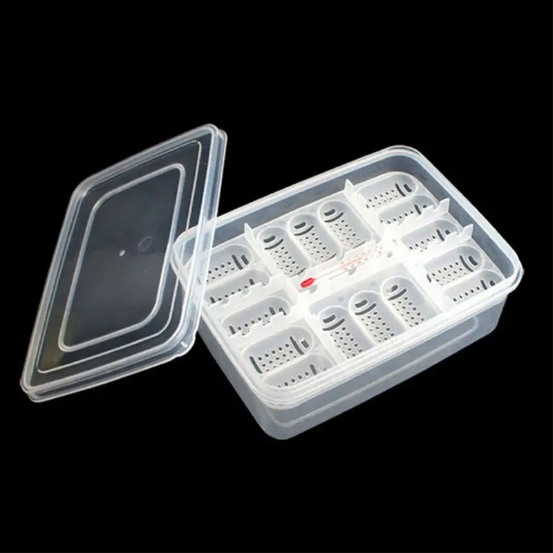 

D0AC Reptile Egg Tray Snake Lizard Egg Hatching Incubator Box Gecko Dedicated Hatcher Device Tortoise Turtle Incubator Supplie