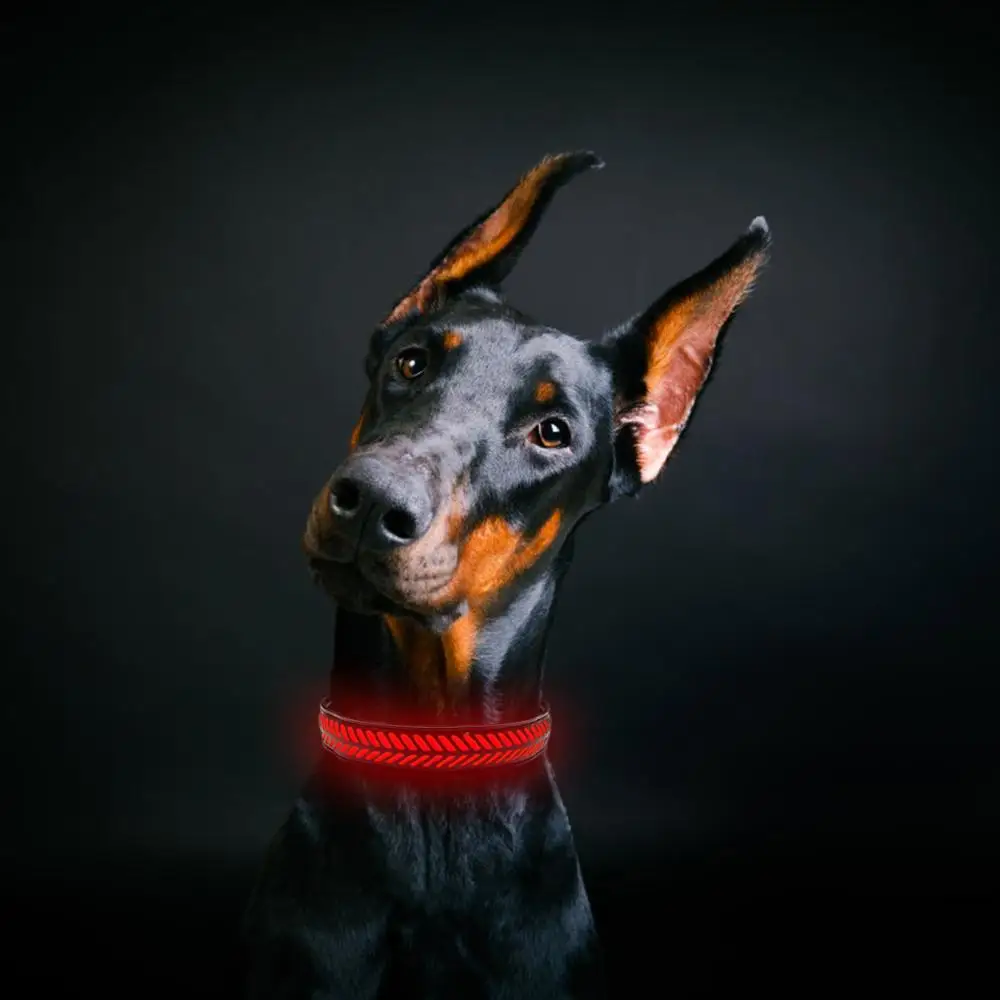 Светодиодный ошейник для собак с USB-зарядкой ночное освещение прогулка Хэллоуин