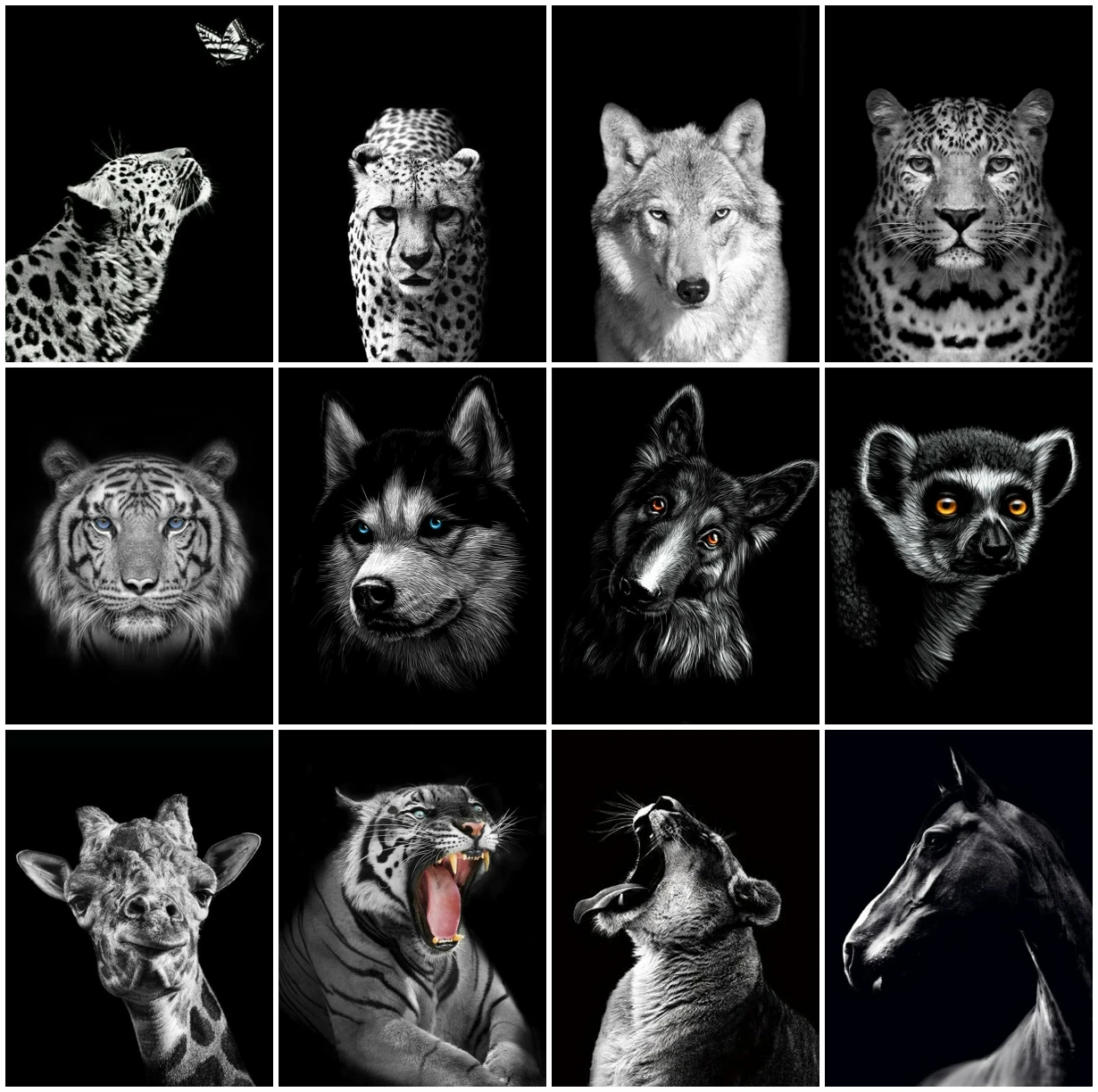 

Алмазная живопись с волком, тигром, львом, лошадью