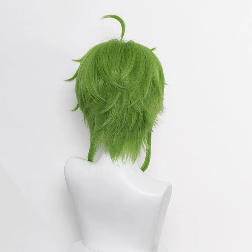 

Takerlama Mushoku Tensei Cosplay Wig Sylphiette Girl Green Hair Wig With Free Elf Eears Halloween Costume Fancy Party Props