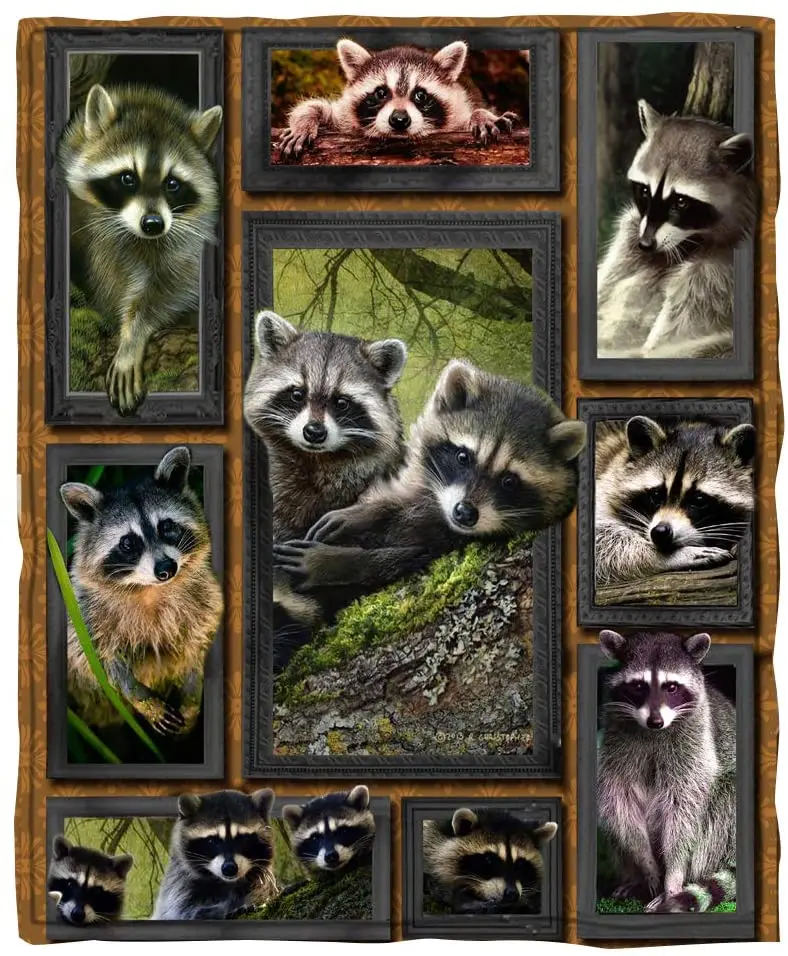 

Blanket Raccoon Blanket Soft Cozy Plush Bed Sofa Throw Blanket Air Travelling Blanket Cute Animals Blanket Adult Raccoon