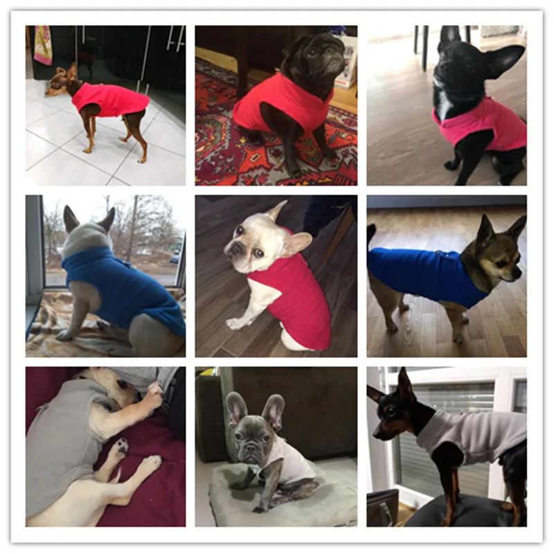 Летний жилет одежда для собак футболка цветные товары домашних животных