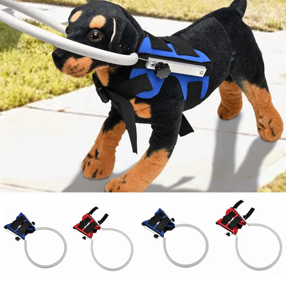 

Защитный жилет для слепых собак, защитное кольцо для прогулок на открытом воздухе, против столкновений