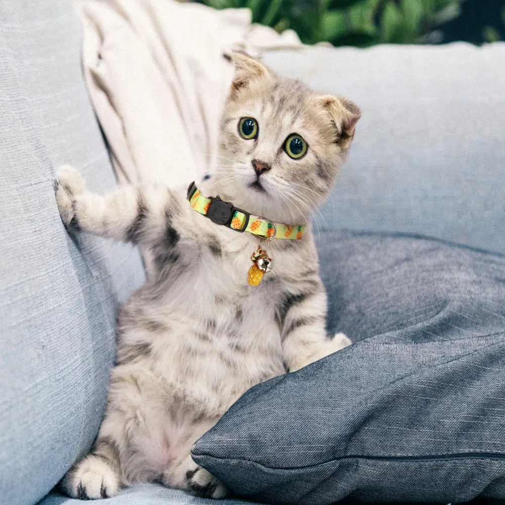 

4pcs Pet Collar Pet Neck Ring Adjustable Cat Collar Cat Supplies with Bell