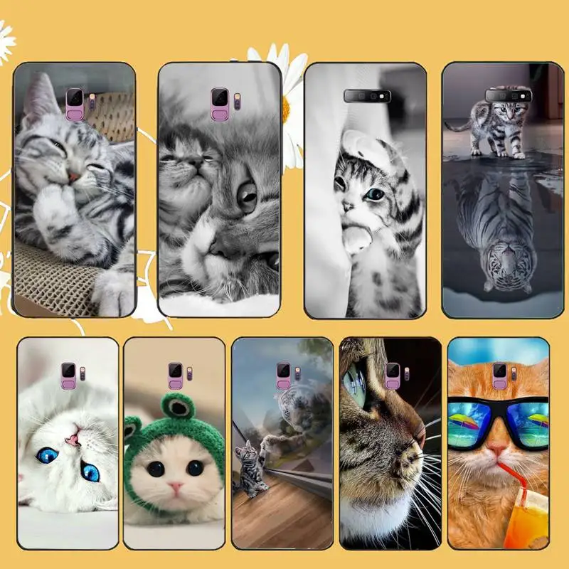 

Cat Cute Animal Phone Case For Samsung galaxy A S note 10 12 20 32 40 50 51 52 70 71 72 21 fe s ultra plus