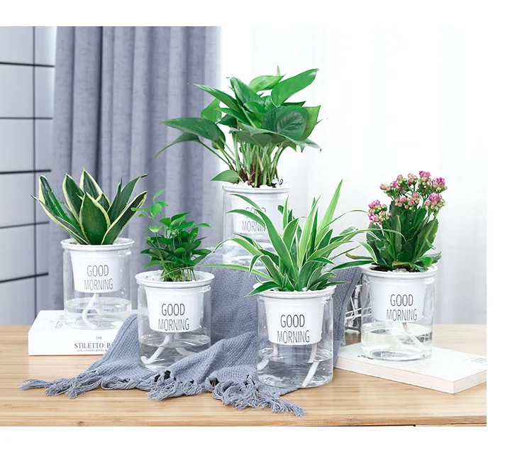 Plastic Hydroponic Flower Pot Succulent Flower Pot Ted Bonsai Mini Home Garden Vase 2021 New Hot Wall Planter