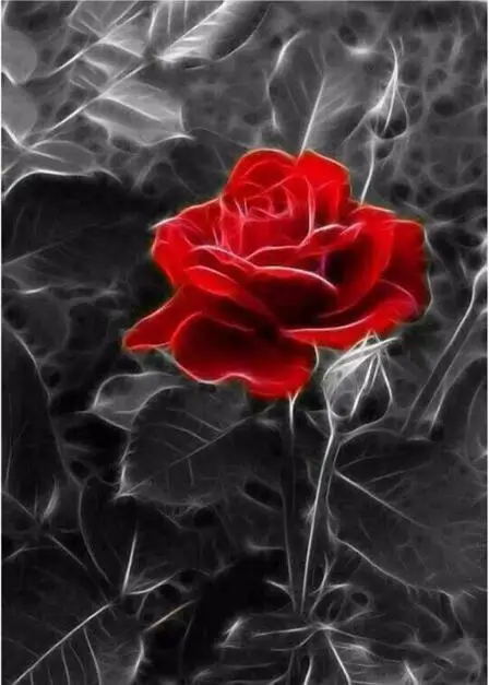 

5D DIY Diamond Painting Flower Full Square Diamond Embroidery Cross Stitch Fantasy Red Rose Floral Needlework Home