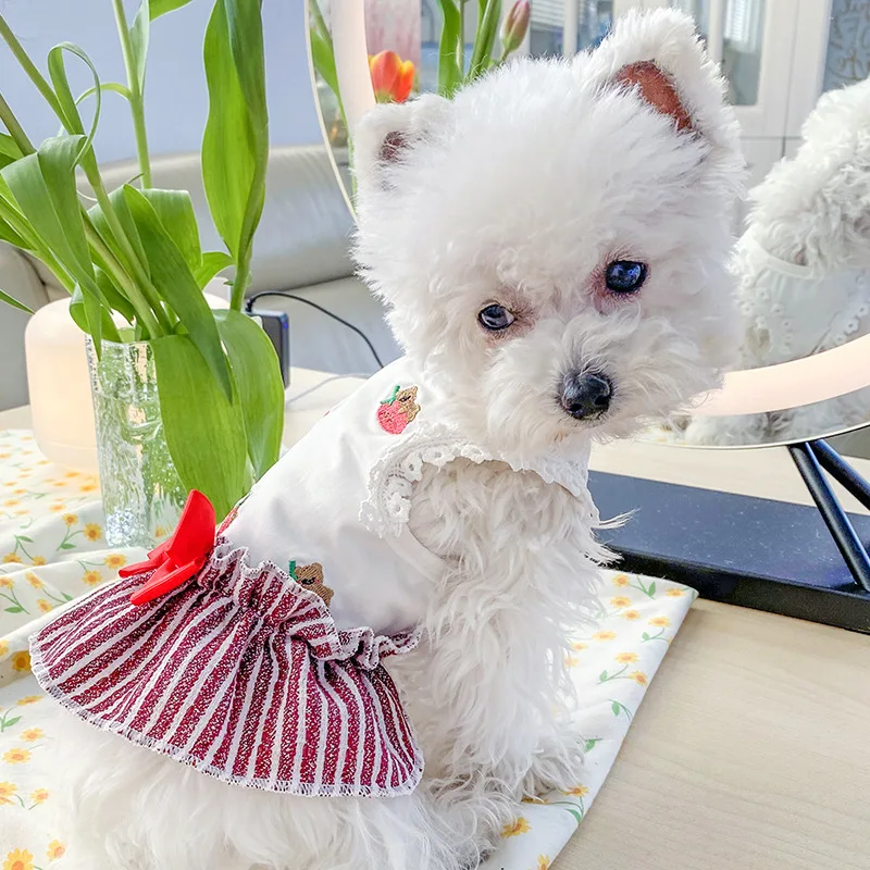 

Summer Dog Dresses for Small Dogs Girl Cat Puppy Clothes Yorkie Schnauzer Poodle Chihuahua Yorkshire Bichon Skirts Dog Outfit