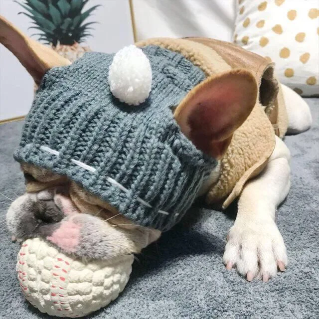 

Dog wool cap warm dew ears Teddy Bargo French fighting golden retriever corgi large and medium dog pet net red headgear