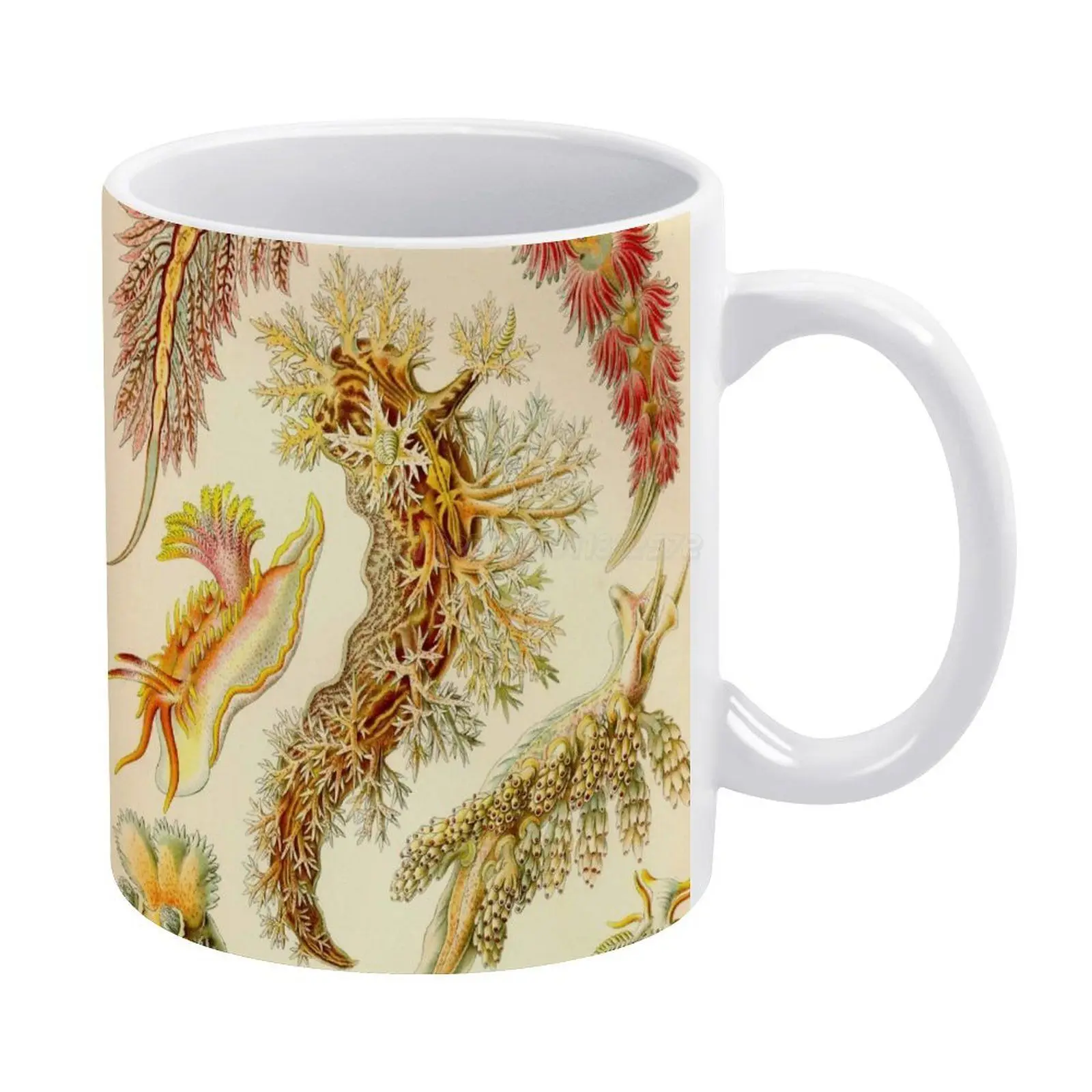 Белая кружка с морскими сливами-Эрнст Haeckel новинка принтом хорошего качества