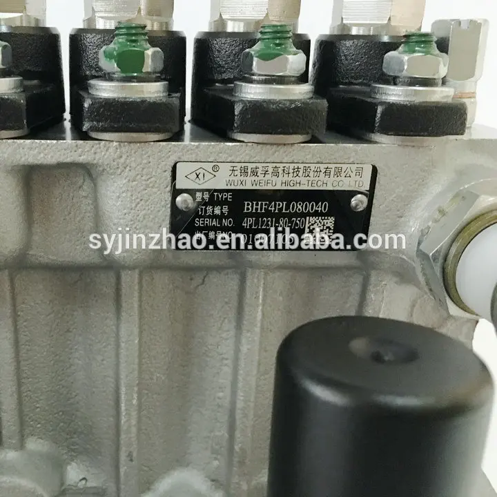 

Original Weifu Fuel Injection Pump 4PL1231 For Kipor KD488