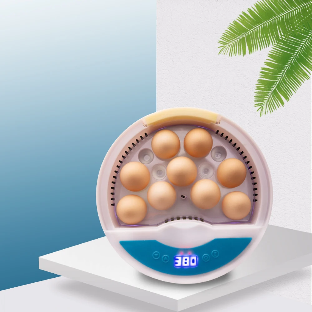 

Household Constant Temperature Small Incubator Equipment 9 Eggs Incubator for Pigeon and Quail Incubator