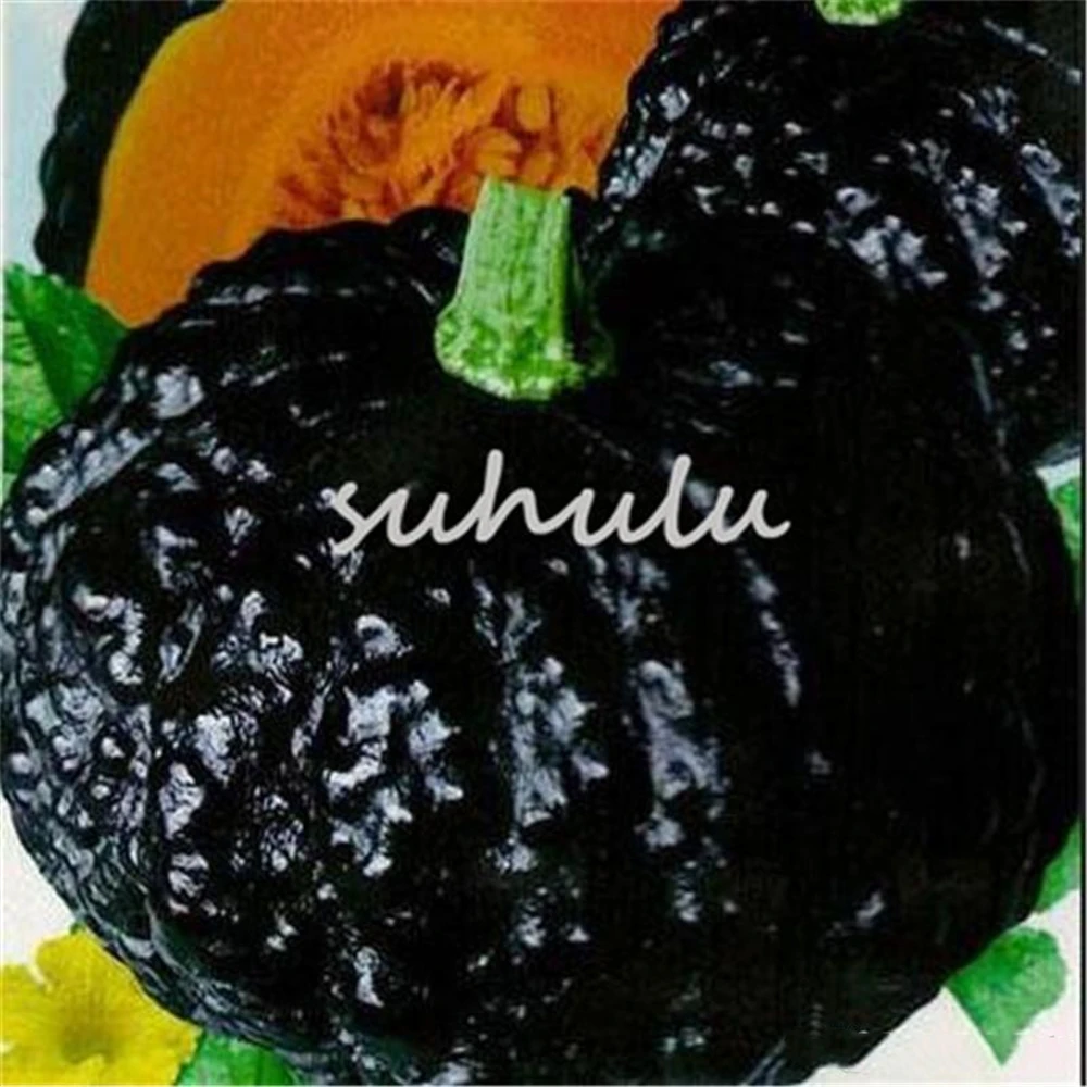 

Garden Seeds 25 Graines Big Pumpkin Seeds Vegetable And Fruit Plnats Tasty Honey Squash Melon Sementes Climbing Bonsai Pots Farm