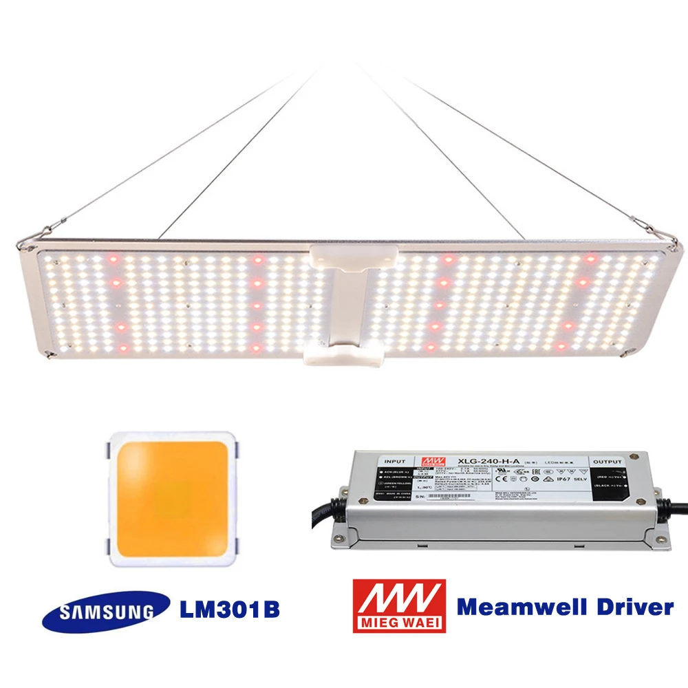 2000W привело Квантовую плату с драйвером Meanwell Samsung LM301B свет водить растет полный